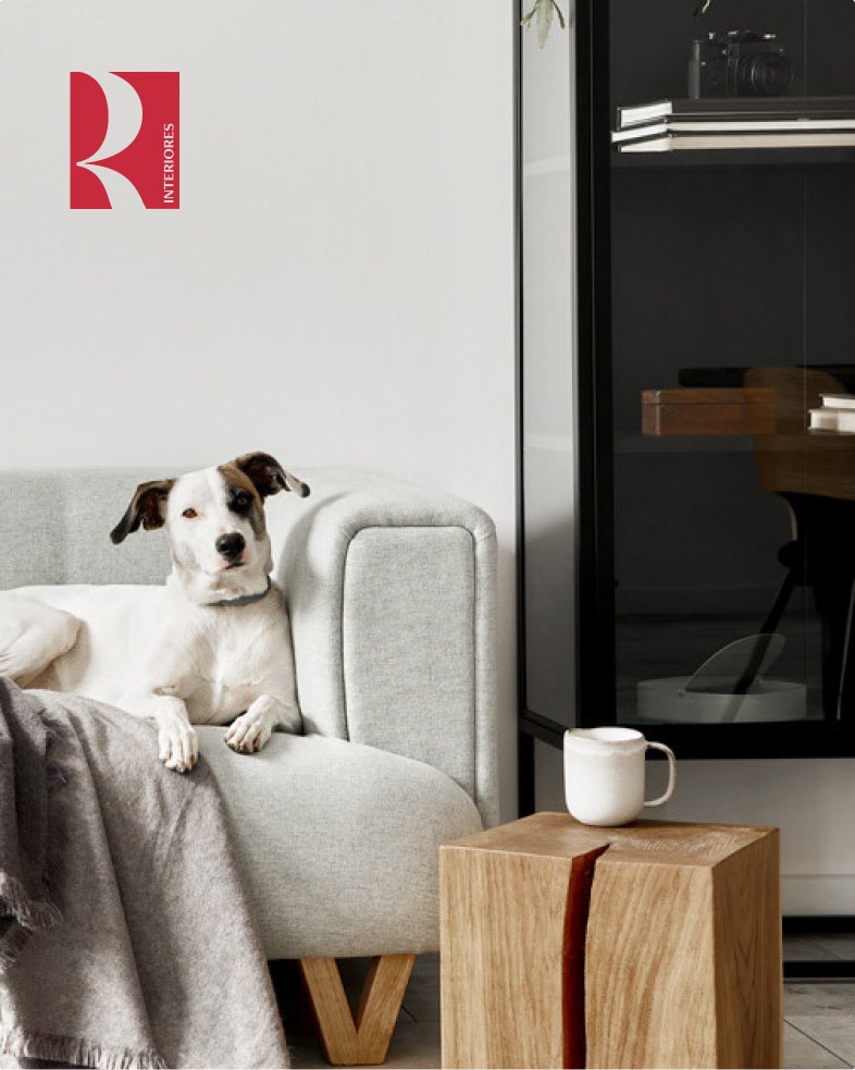 Cachorro descansando no sofá, ao lado de uma mesa de madeira com uma xícara